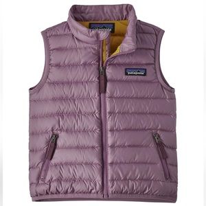 Patagonia down sweater vest